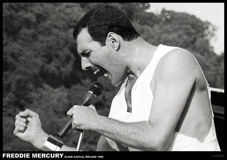 Freddie Mercury - Slane castle, Ireland 1996 – virallisesti lisensoitu juliste, 84.1×59.4 cm