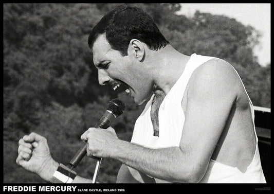 Freddie Mercury - Slane castle, Ireland 1996 – virallisesti lisensoitu juliste, 84.1×59.4 cm juliste