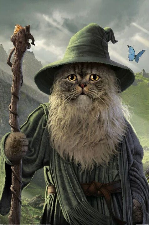 Catdalf – juliste