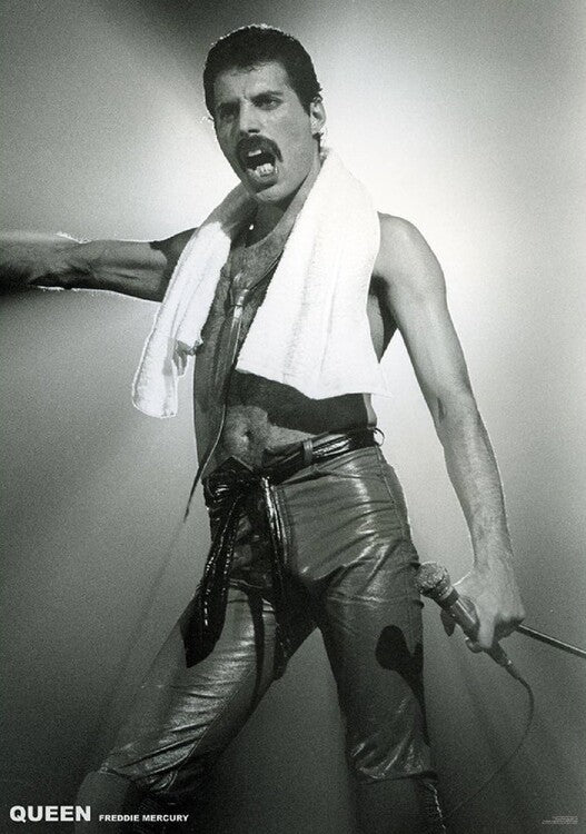 Queen (Freddie Mercury) - Live On Stage – virallisesti lisensoitu juliste, 59.4×84.1 cm juliste