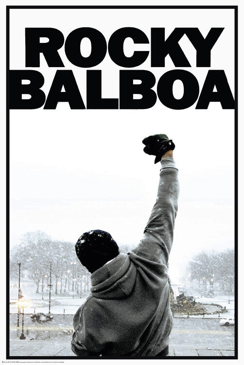 Fighter – juliste juliste