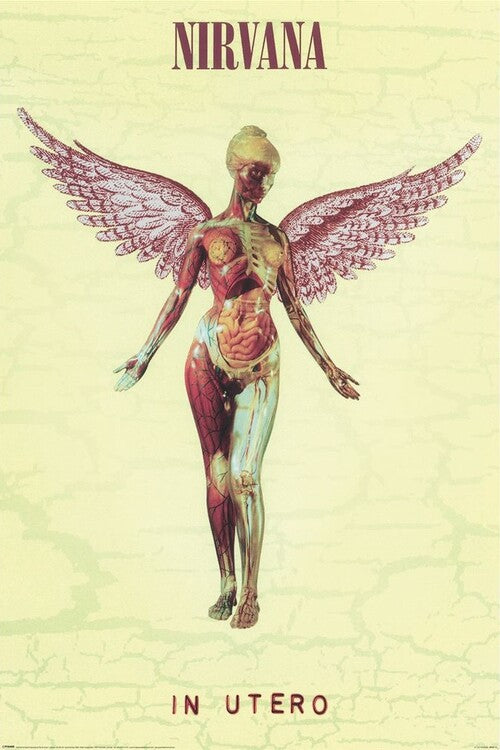 Nirvana - In Utero – virallisesti lisensoitu juliste, 61×91.5 cm juliste