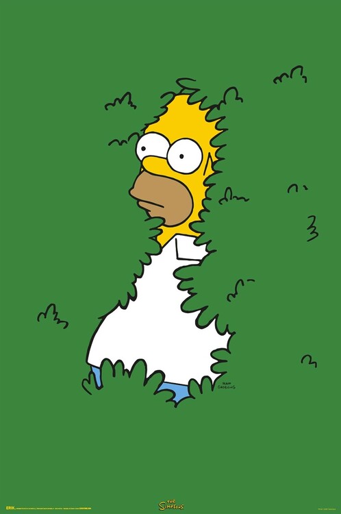 The Simpsons - Homer in the Bush – juliste juliste